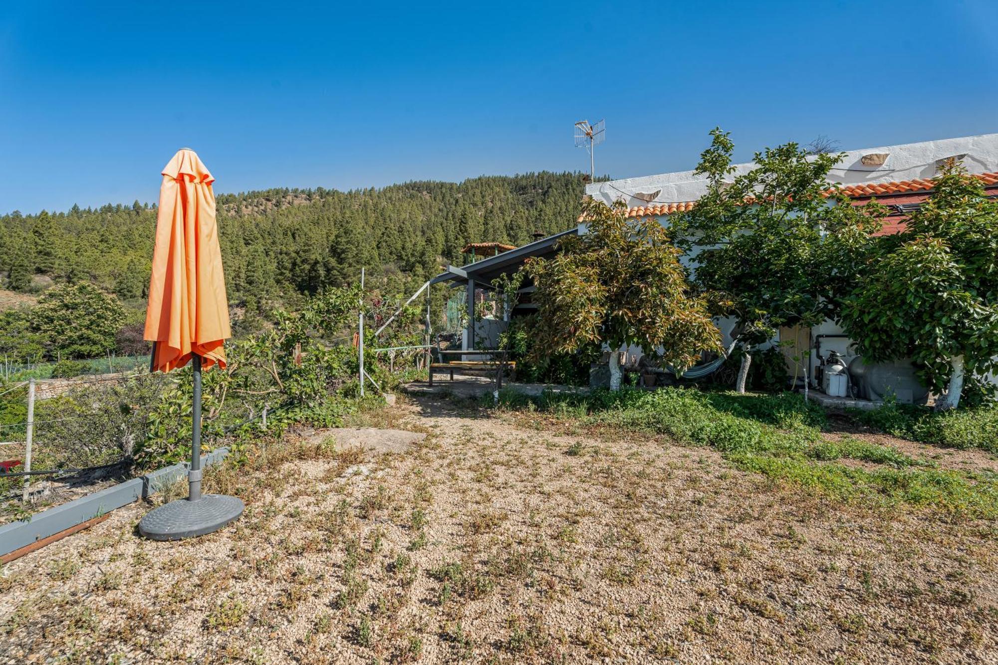 Land Of Dreams Villa Vilaflor Dış mekan fotoğraf