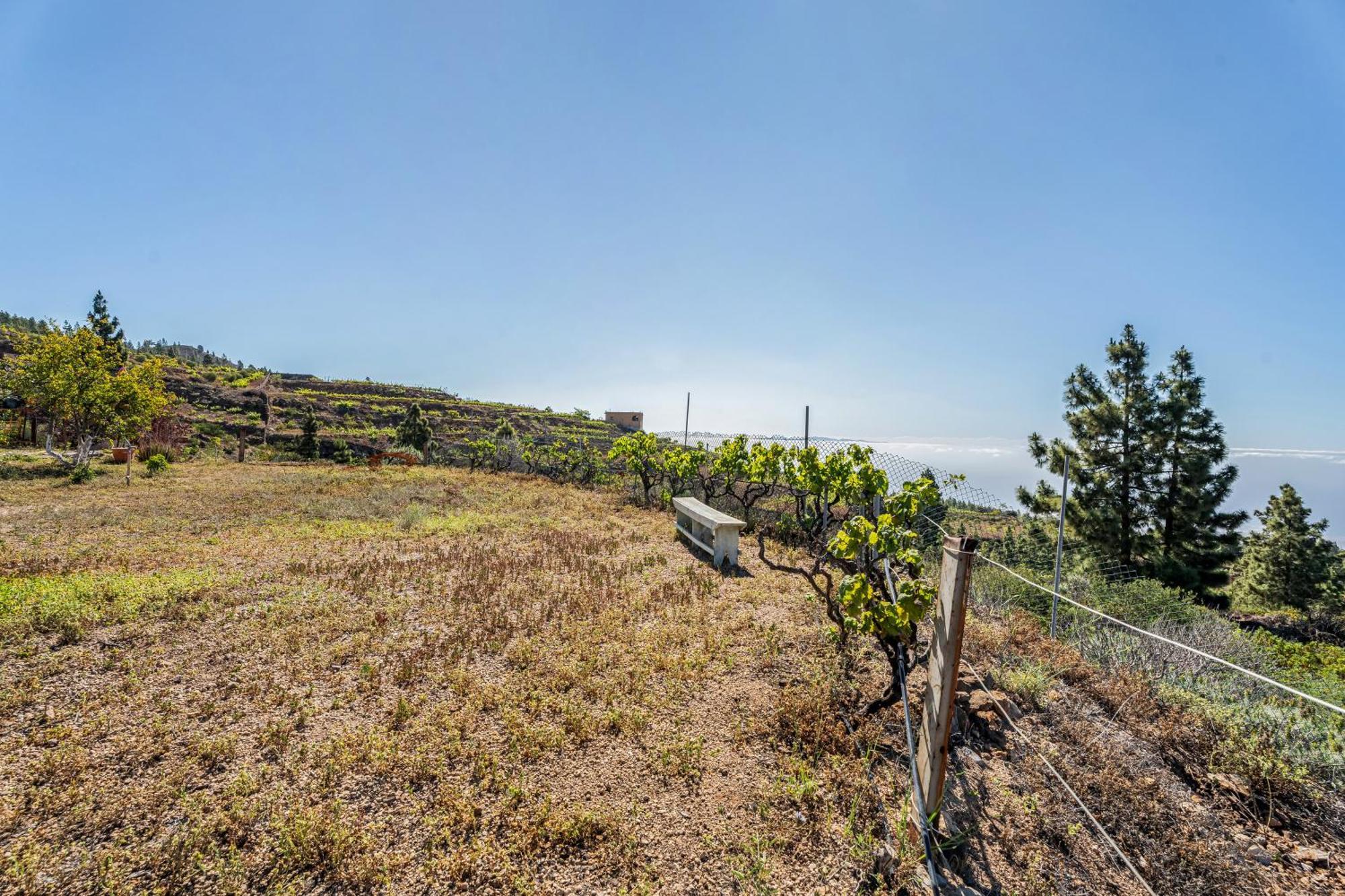 Land Of Dreams Villa Vilaflor Dış mekan fotoğraf